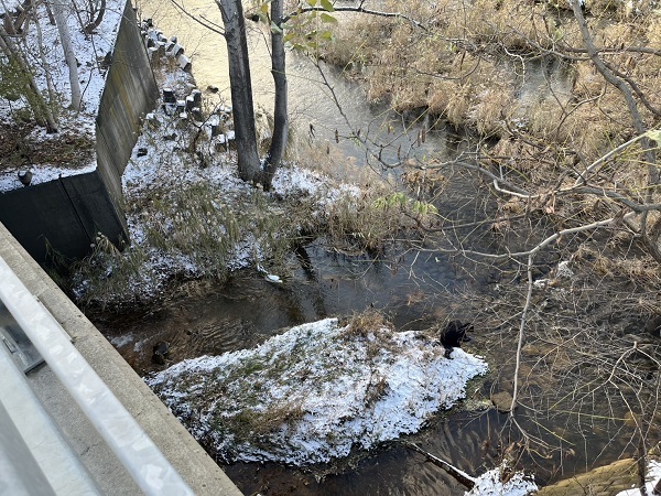 男性が発見された現場付近（札幌市）