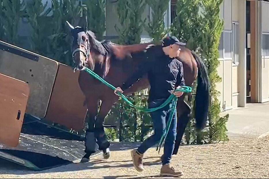 無事に京都競馬場に到着したライラック