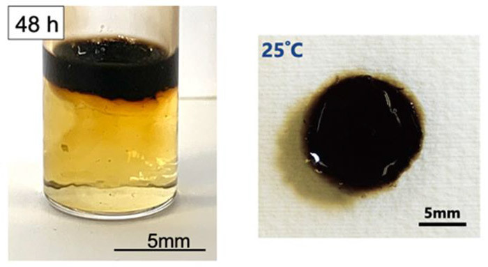 ハイドロゲル接着剤は、ドーパミンを溶かした液体の上部にできる（東北大学の阿部博弥准教授提供）