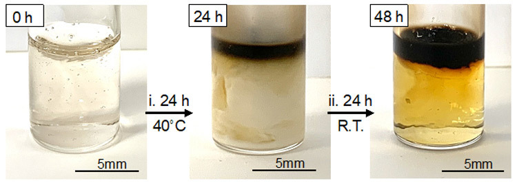 空気酸化界面重合によって透明な水溶液の上部に黒色のハイドロゲルができる様子（東北大学の阿部博弥准教授提供）