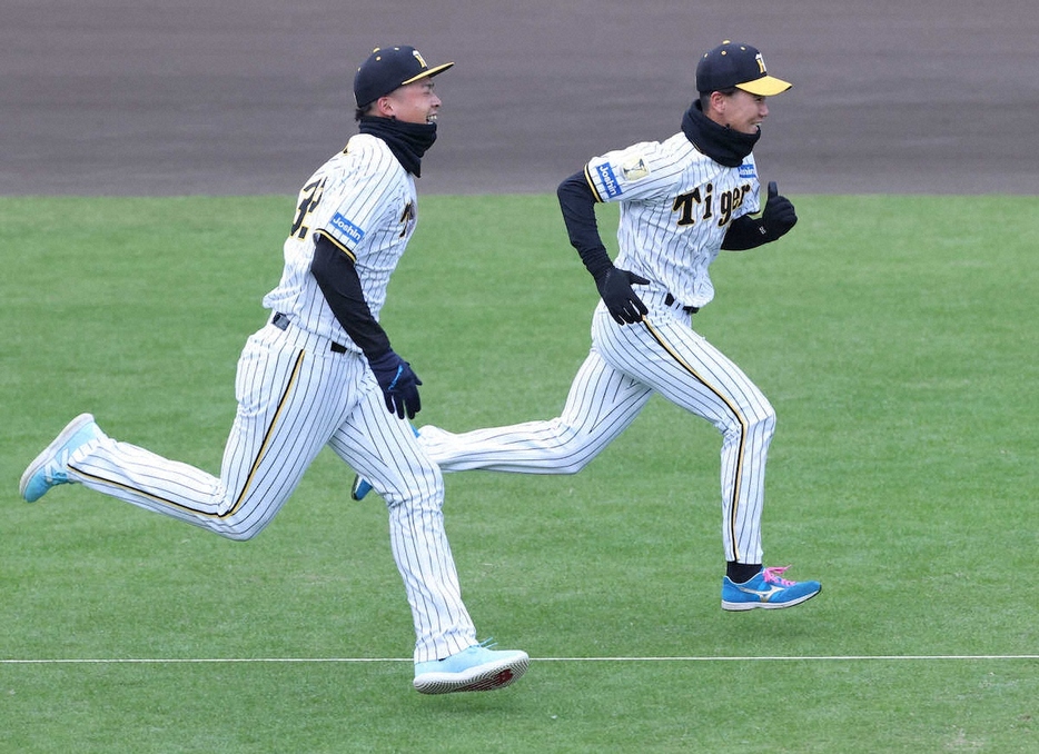 阪神「ファン感謝デー2024」のイベントで井上（左）に競り勝った山田（撮影・平嶋　理子）