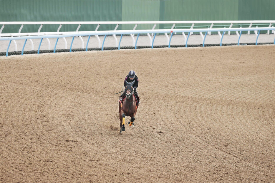 周りに他馬がいない静かな環境で追い切られたモリアーナ