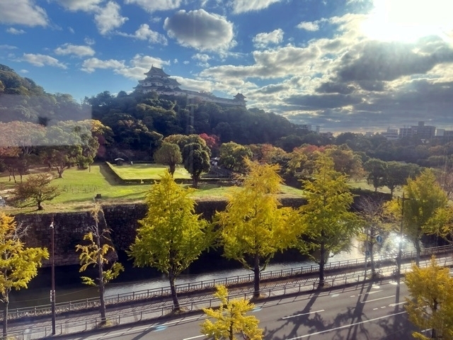 ライトアップされる和歌山城