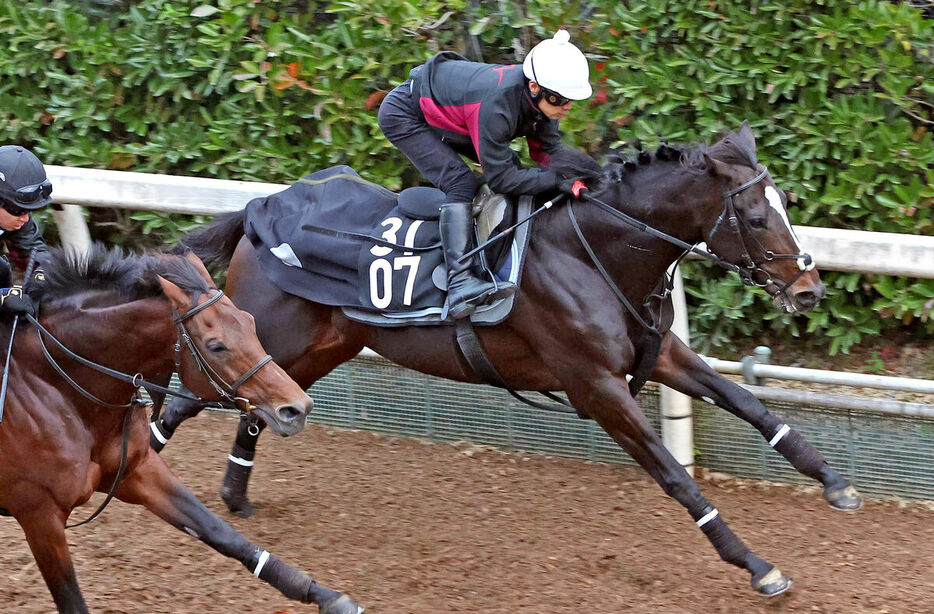 坂路を併せ馬で追い切るエリキング