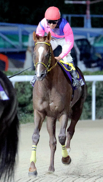 ２着のメイショウハリオと浜中俊騎手（カメラ・朝田　秀司）