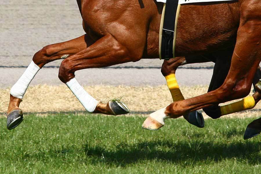 英国の競馬で珍しい圧勝劇が生まれた（写真はイメージです）