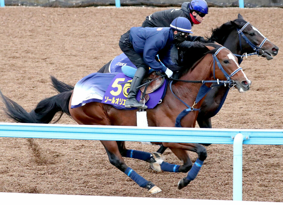 Wコースで追い切ったソールオリエンス（手前）はジオセントリックと併せ馬（カメラ・荒牧　徹）