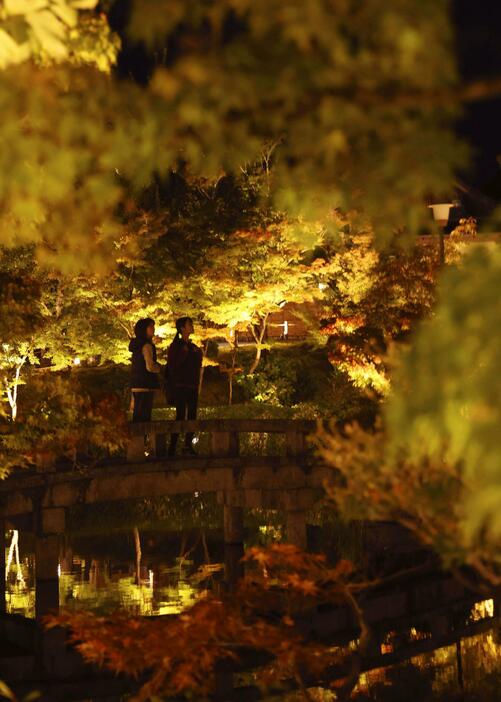 紅葉の名所として知られる永観堂禅林寺で行われた、夜の特別拝観「もみじのライトアップ」の試験点灯＝6日夜、京都市