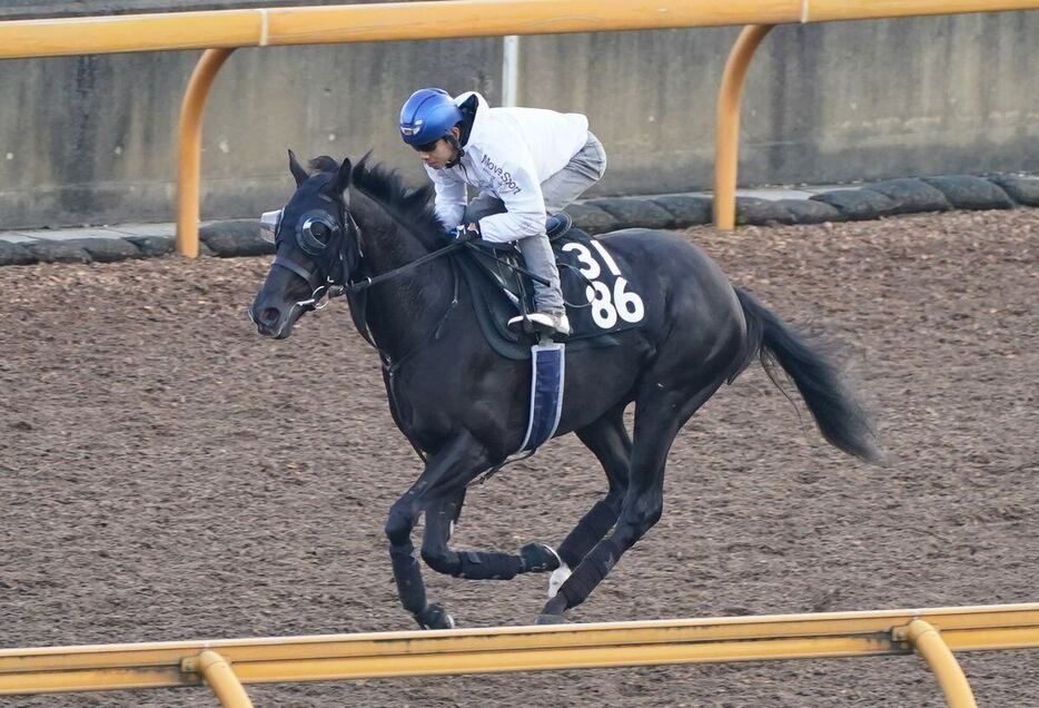 クロワデュノールは久々の実戦でも、栗東CWコースで好時計をマークしている