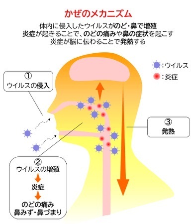 かぜのひき始めはいつ？                                          薬を飲み始めるタイミングをアンケート調査