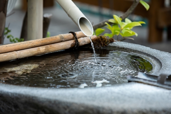 たまに花が浮かんでいることもある手水舎（画像はイメージです／出典：PIXTA）