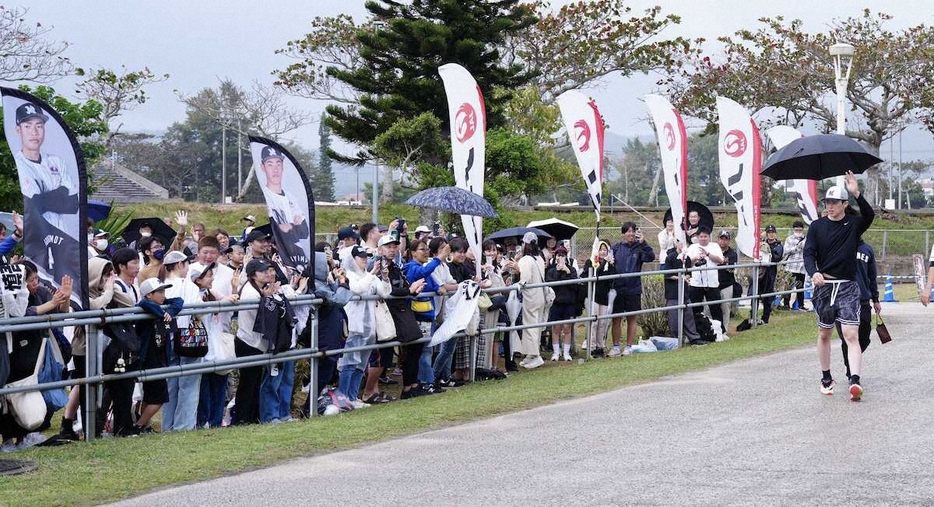 今年の石垣島キャンプでファンに手を振る佐々木朗希