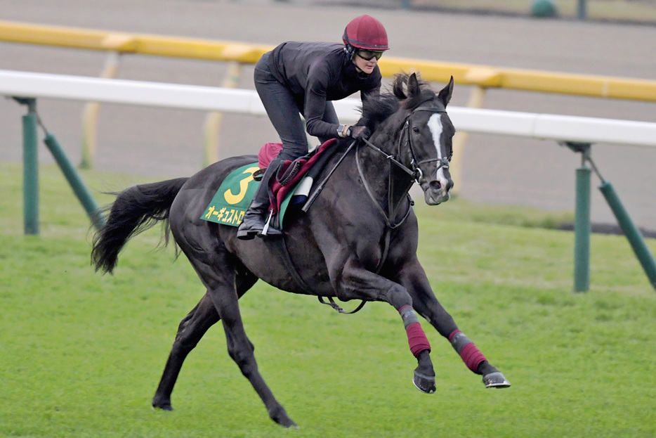 ジャパンＣでラストランを迎えるオーギュストロダン