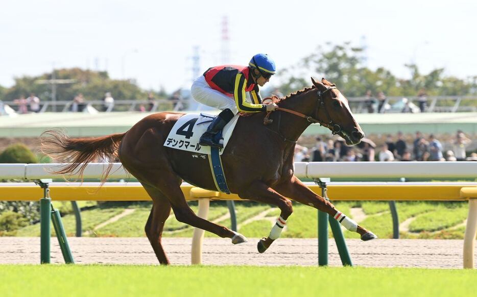 新馬戦を逃げ切って快勝したデンクマール