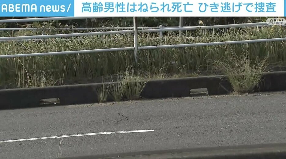 事故が起きた県道