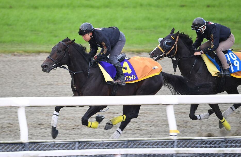 チャンピオンズCの追い切りを行ったクラウンプライド＝栗東トレセン（撮影・岩川晋也）