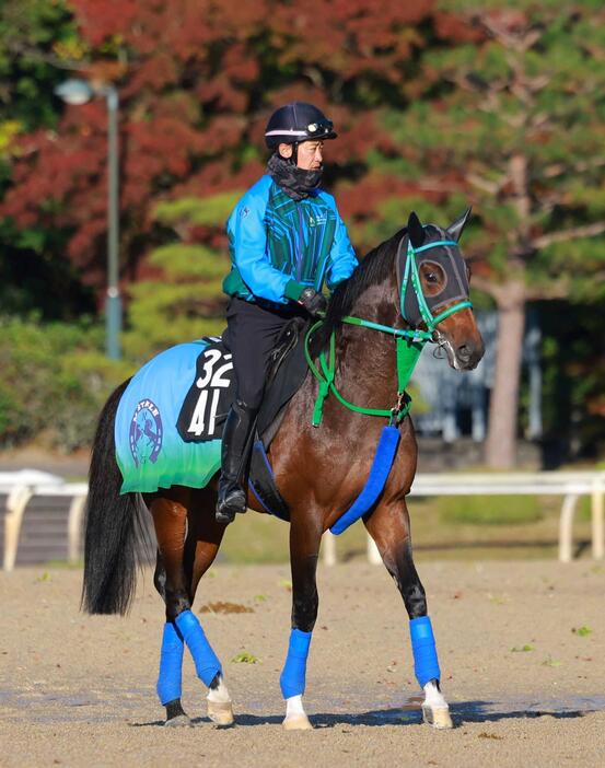 　大楽勝で未勝利戦を勝ち上がったサラコスティ（撮影・石湯恒介）