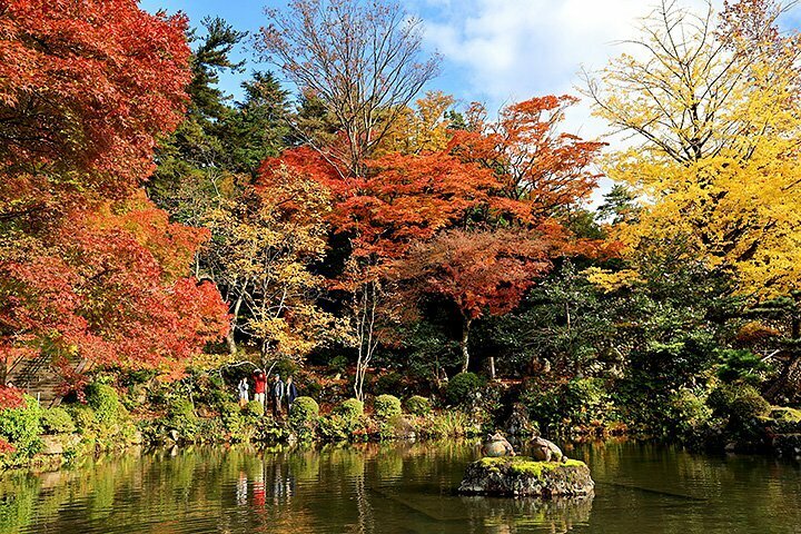 池の周りも秋の色に染まる