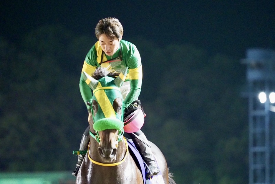 JBCクラシック・ウィルソンテソーロと川田将雅騎手 (C)Y.Shigeyama