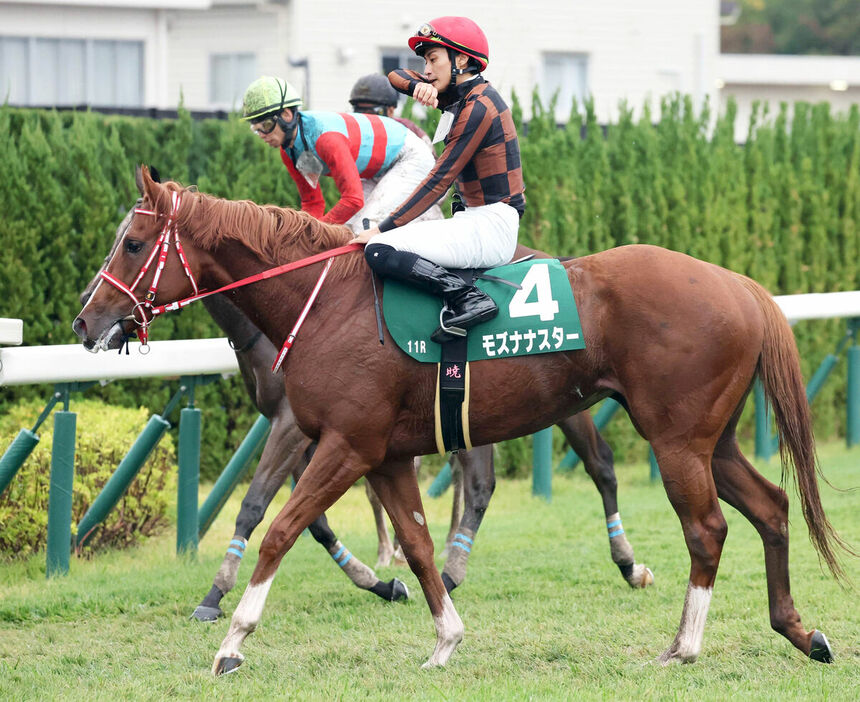 モズナナスター（手前）は２着（カメラ・豊田　秀一）