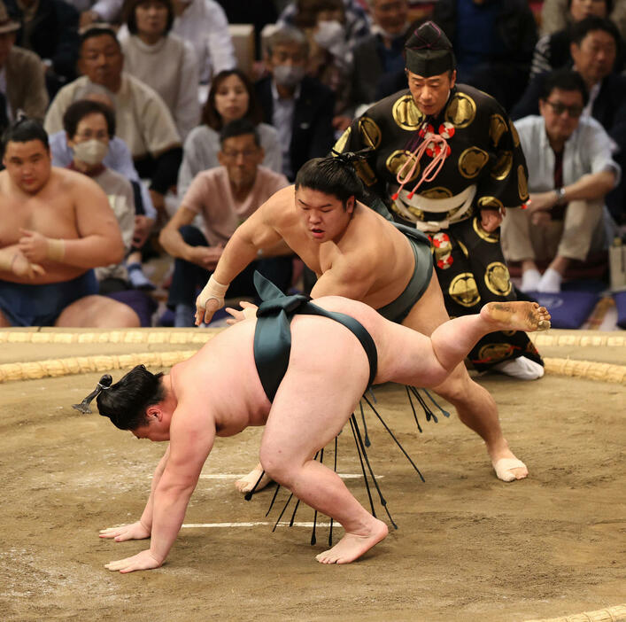 大相撲九州場所　4日目　はたき込みで時疾風を破る朝紅龍（撮影・梅根麻紀）