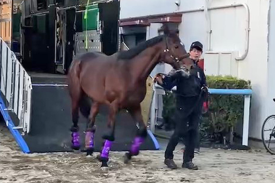 決戦の地・東京競馬場に到着したドウデュース