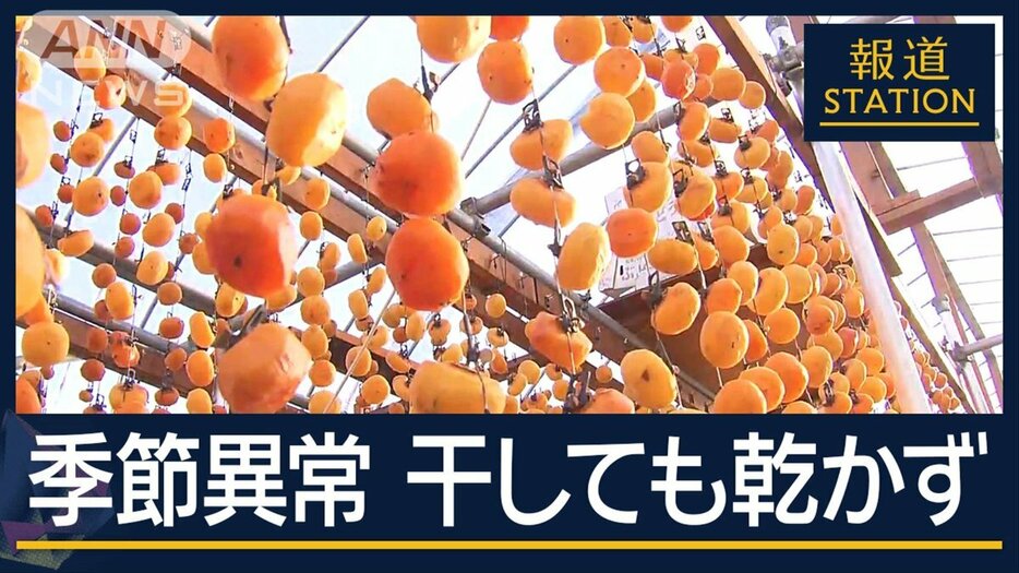 柿は熟しすぎ 干しても乾かず…旬のものに異変　“季節異常”四季がなくなる？