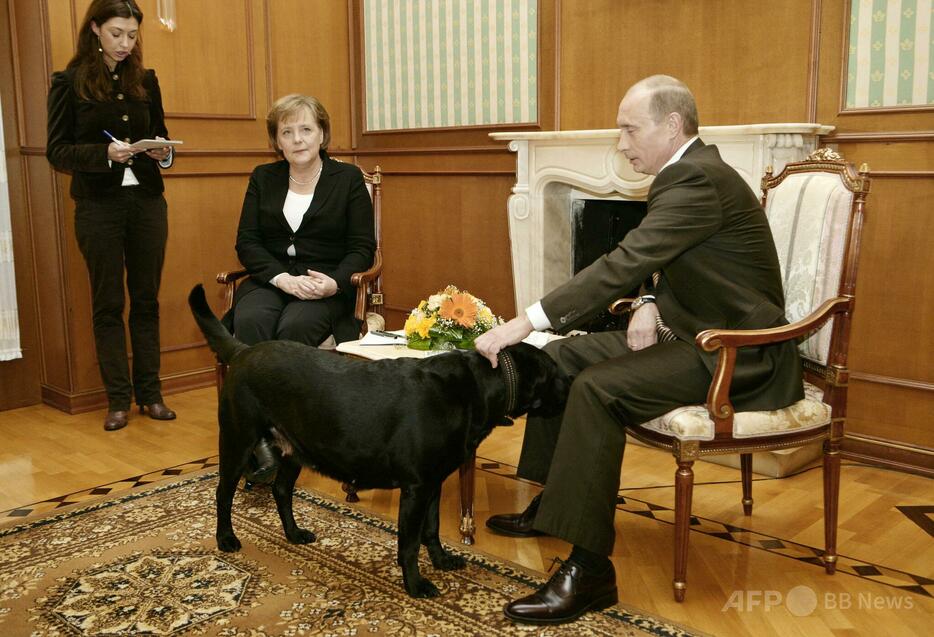 ドイツのアンゲラ・メルケル首相（当時）との会談を終え、自身の愛犬をなでるロシアのウラジーミル・プーチン大統領（2007年1月21日撮影）。【翻訳編集】 AFPBB News