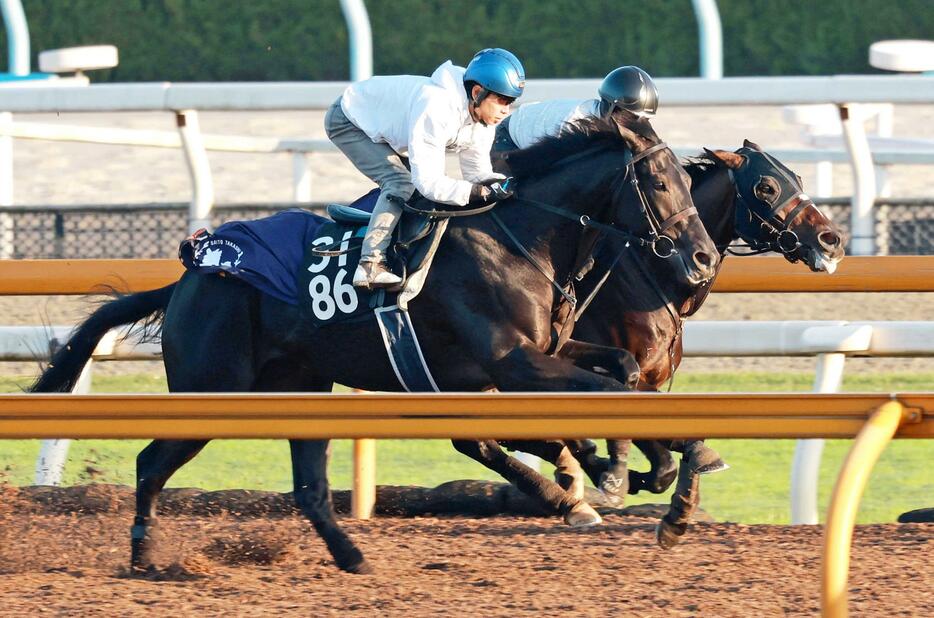 　北村友を背に追い切るクロワデュノール（手前）