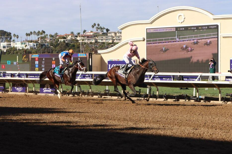 BCクラシックを制したシエラレオーネ＝現地2日、米デルマー競馬場（撮影・山口遥暉）