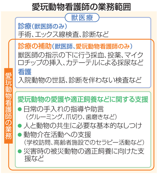 愛玩動物看護師の業務範囲