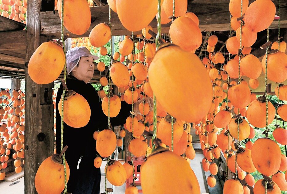 すだれのようにつるされた干し柿＝松江市東出雲町上意東