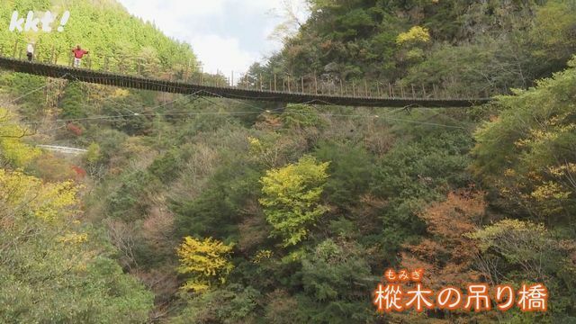 樅木の吊り橋