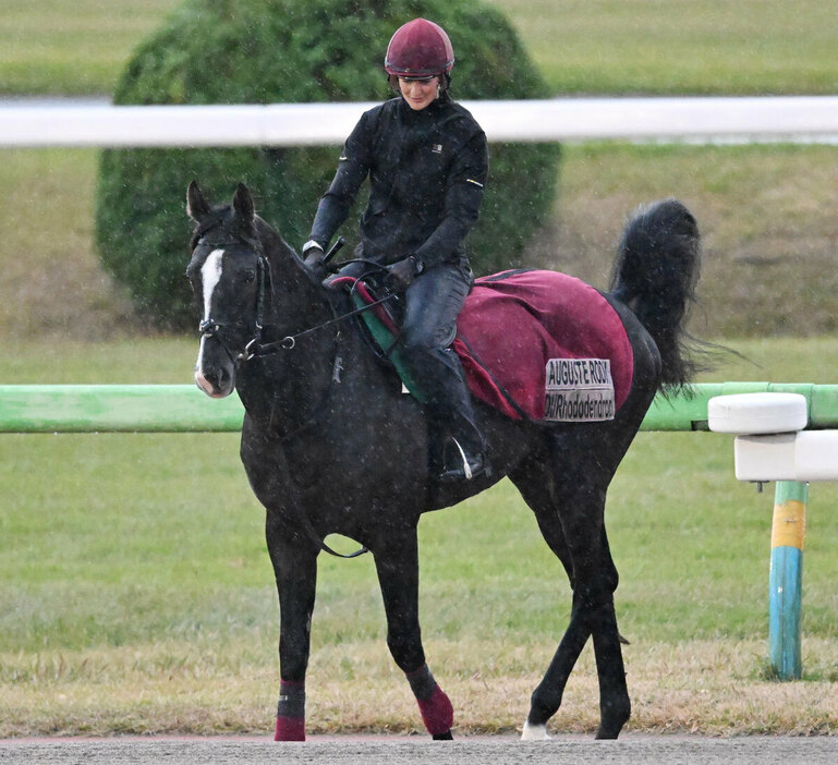 オーギュストロダンは東京競馬場で調整中だ