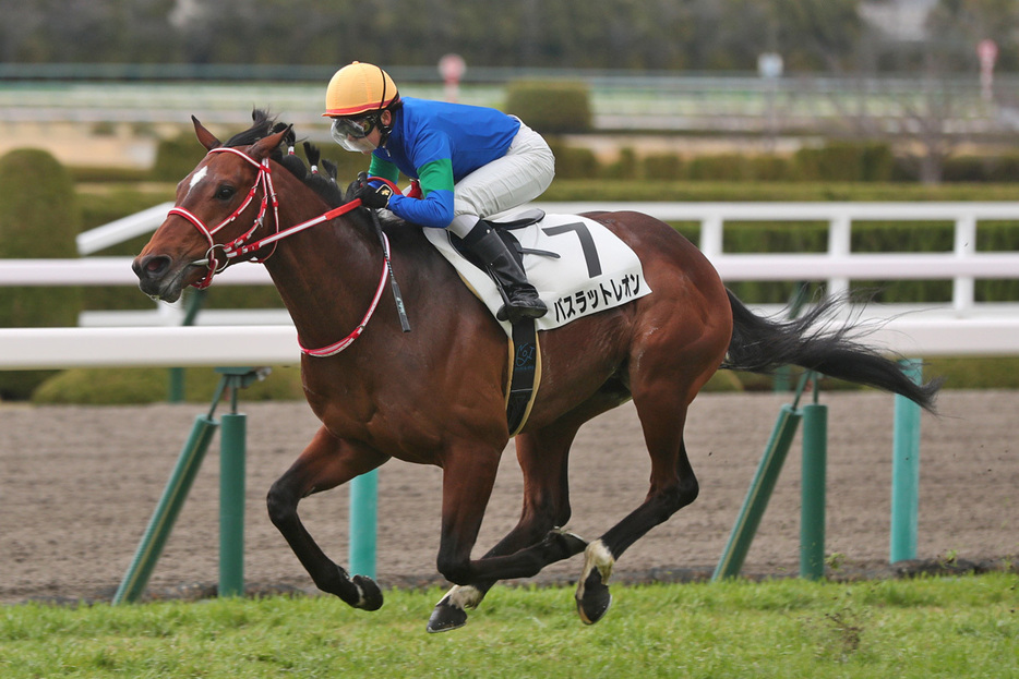 ３歳時に古川奈穂騎手を背に逃げ切ったバスラットレオン