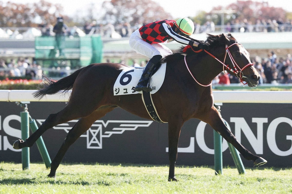 ＜東京6R＞新馬戦を制したジュタ（撮影・村上　大輔）