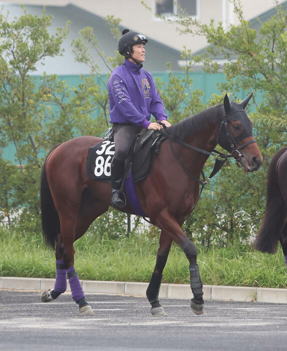 厩舎周りで運動するジュンライデン（撮影・白石智彦）