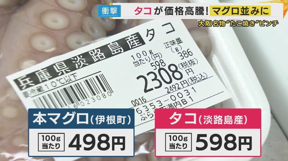 タコとマグロの価格