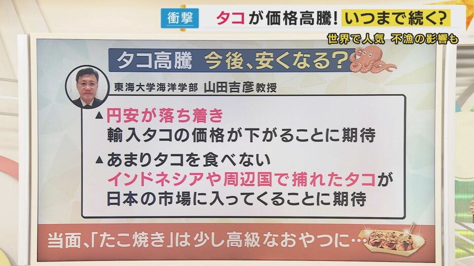 タコの今後の価格は