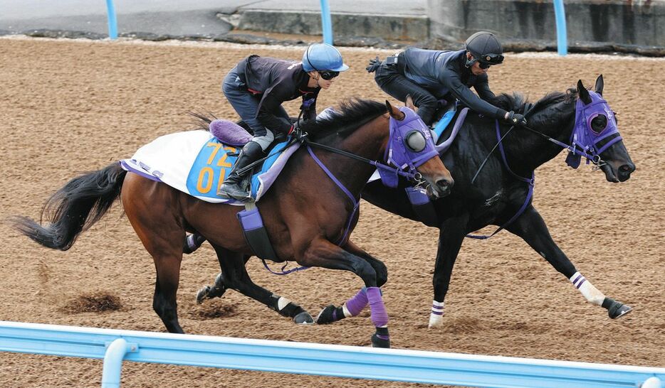 小林凌を背にウッドチップコースでタイセイミッションと併せて追われるタマモロック（左）