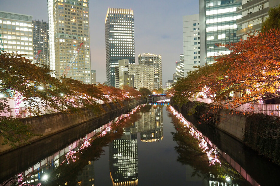 写真：トラベル Watch