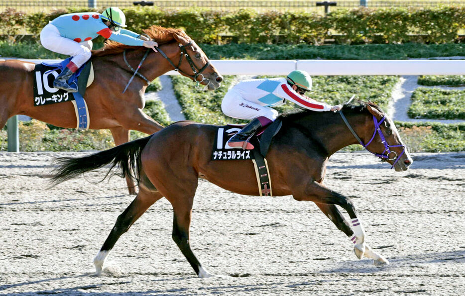 カトレアＳを制したナチュラルライズ（手前、カメラ・荒牧　徹）