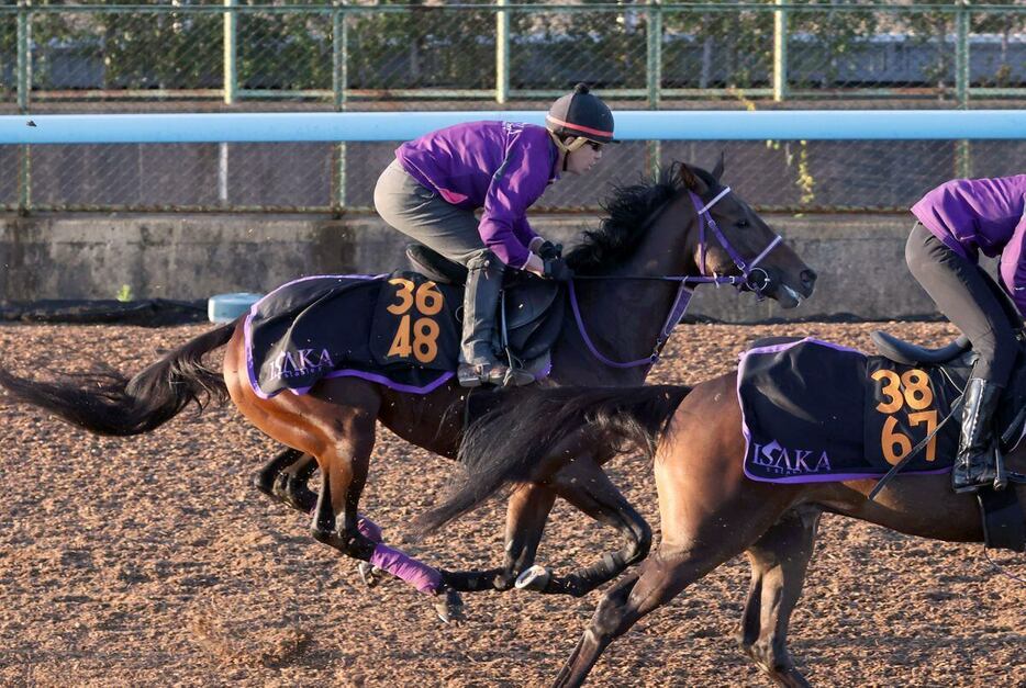 プレシャスデイが東スポ杯2歳Sで重賞初Vを狙う