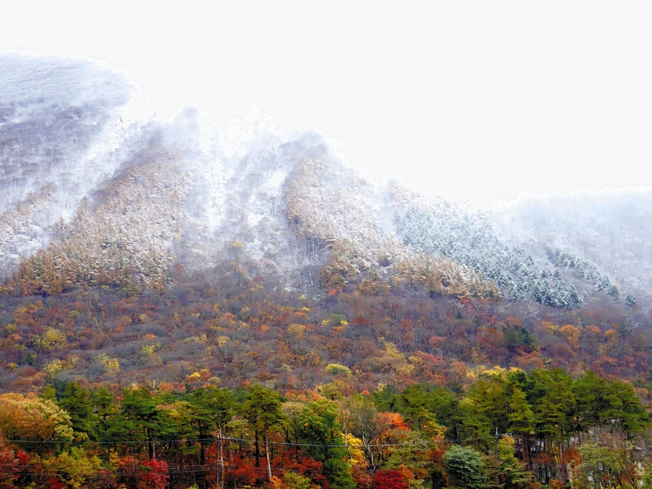 山肌が白くなった大山（19日午前、鳥取県伯耆町で）