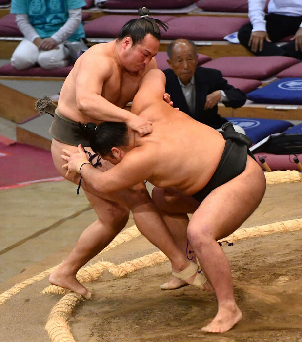 押し出しで春雷（右）に敗れた須山（撮影・岩下翔太）