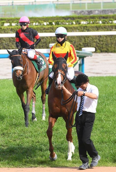 平安Sを制したミトノオーと鞍上の松山弘平騎手