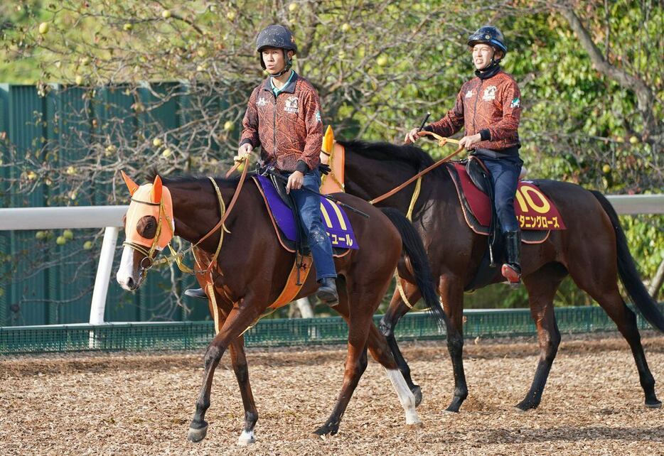 ナミュールが史上7頭目となるマイルCS連覇を狙う