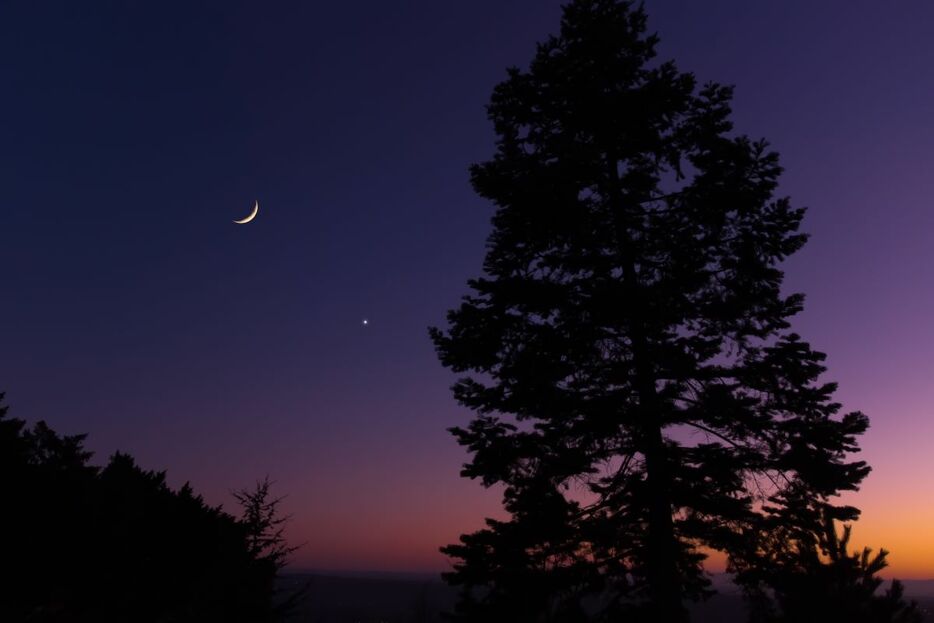 星、惑星、木と三日月（Getty Images）