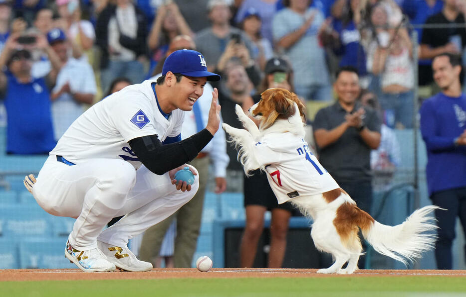 始球式を務めた愛犬デコピンとタッチをする大谷（2024年8月28日撮影）