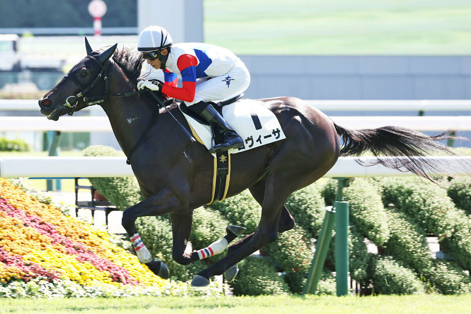 デイリー杯２歳Ｓで連勝を狙うロヴィーサ